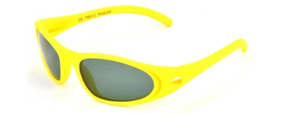 POLAROID P/T001/C 2 POLAROID P/T001/C