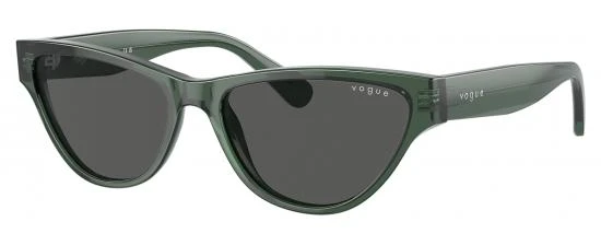 VOGUE 5513S/300487 3 VOGUE 5513S/300487